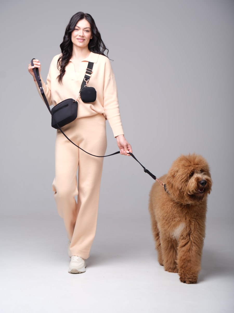 Owner walking a goldendoodle in the city using the DOGISTRY leash in crossbody hands-free mode