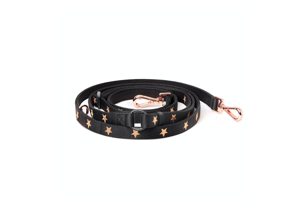 Best Dog Leashes for City Walks and Everyday Control