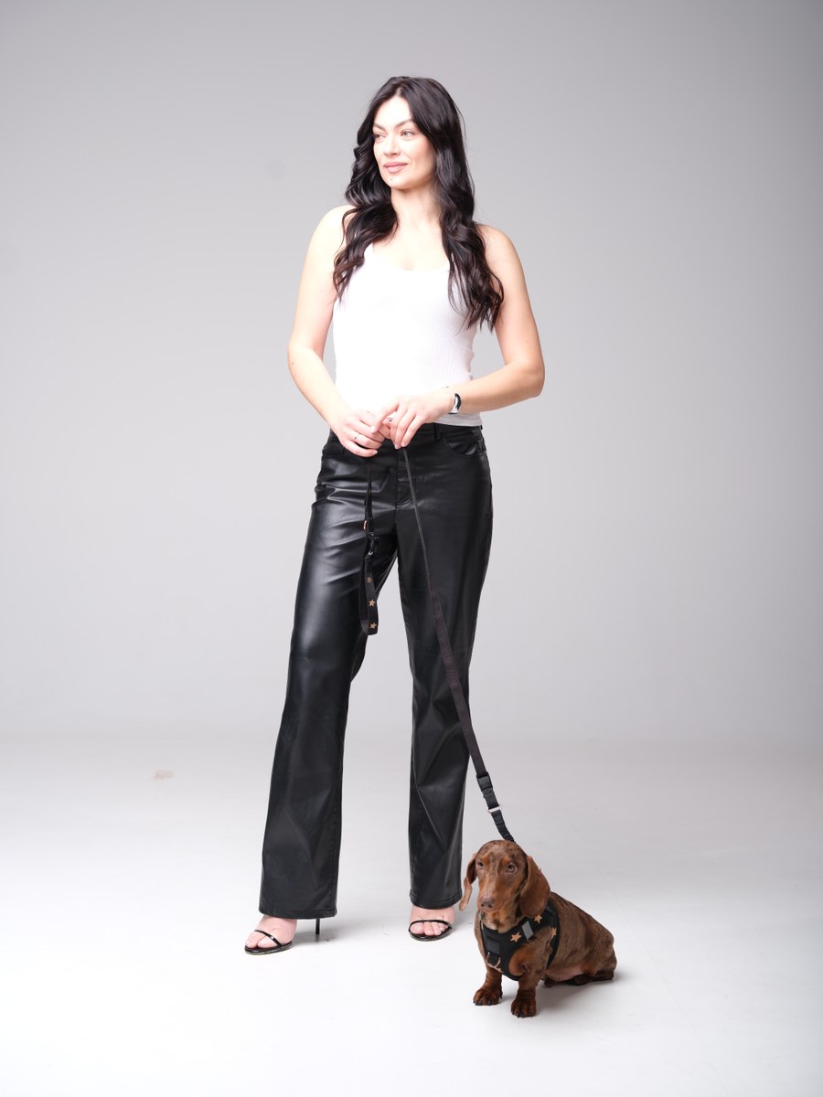 Owner holding the DOGISTRY 3-in-1 City Leash attached to a dachshund wearing the SoHo harness