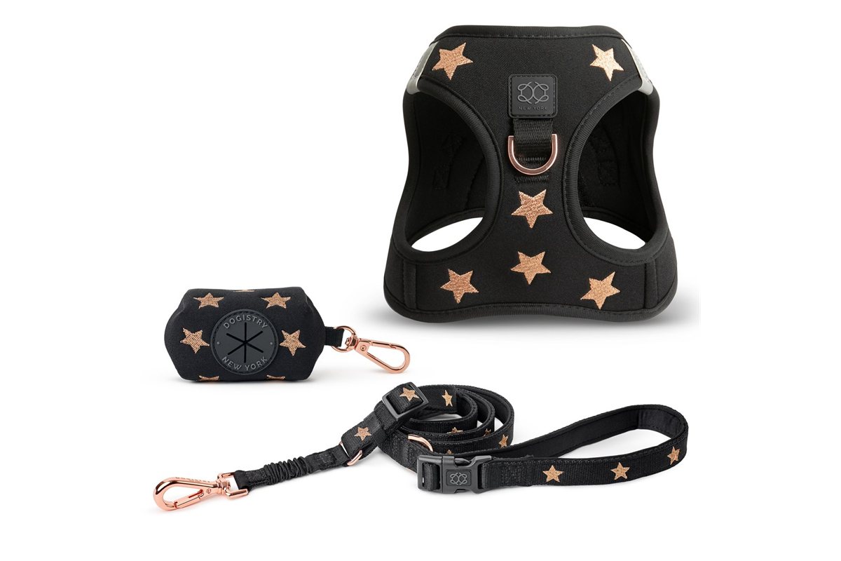 DOGISTRY Harness Review: Fit, Comfort, Control, and Everyday Walks