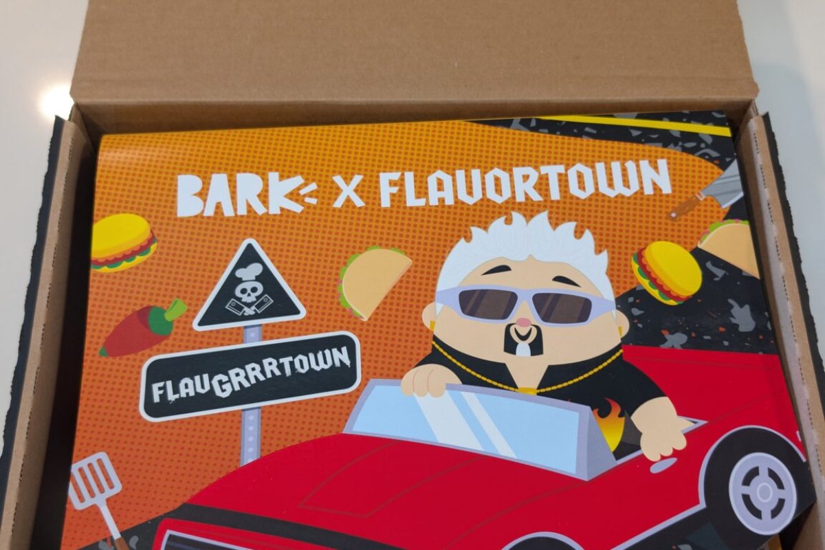 Is BarkBox Worth It? An Honest Verdict for Dog Owners