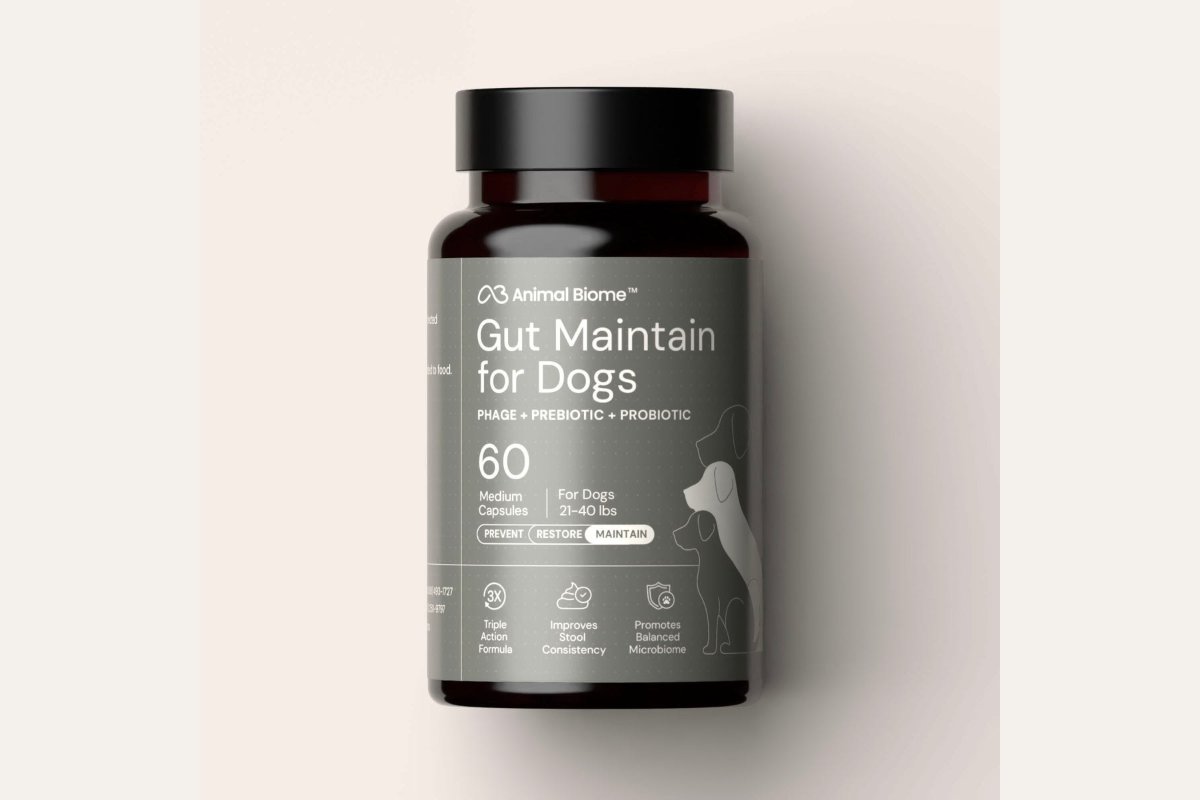 Puppy Diarrhea: Causes, Treatment, and When to Call the Vet