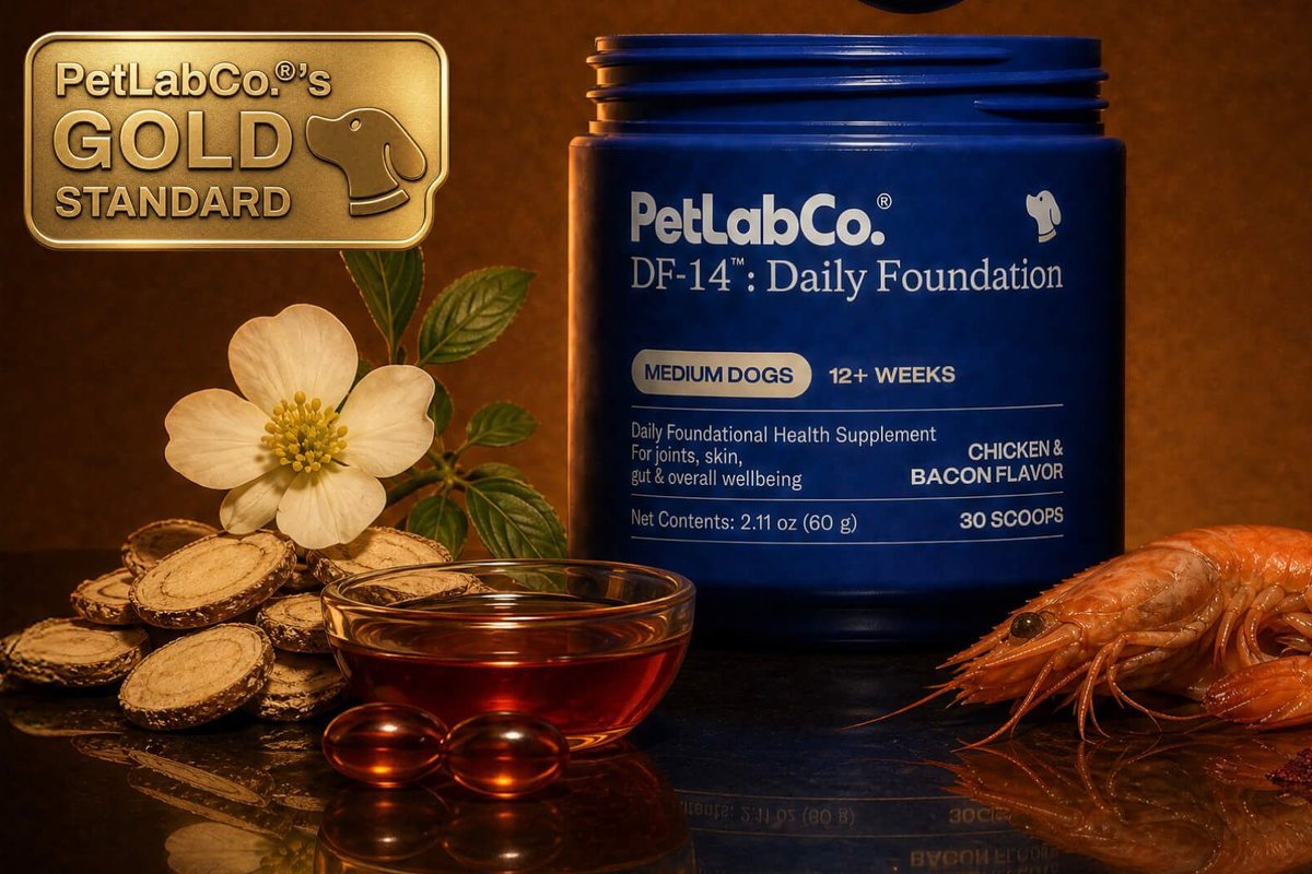 Best All-Round Supplement For Dogs