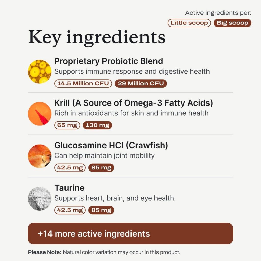 DF-14 Daily Foundation key ingredients panel with amounts per little scoop and big scoop
