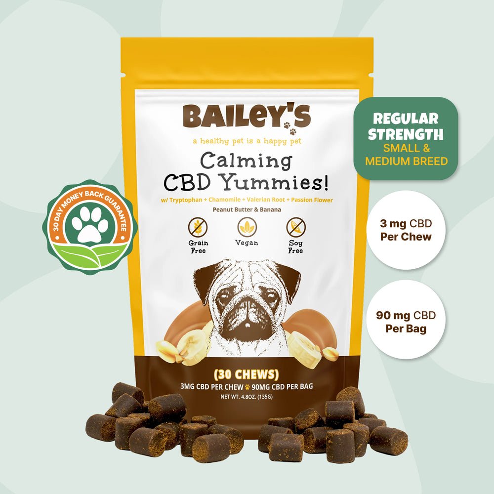 Bag of Bailey's Calming CBD Yummies, regular strength, 3 mg CBD per chew, with soft chews in front