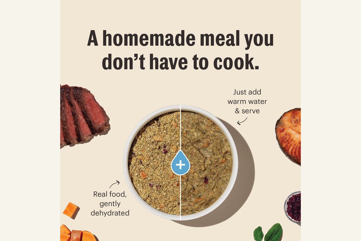 Dry and prepared The Honest Kitchen dehydrated dog food shown side by side