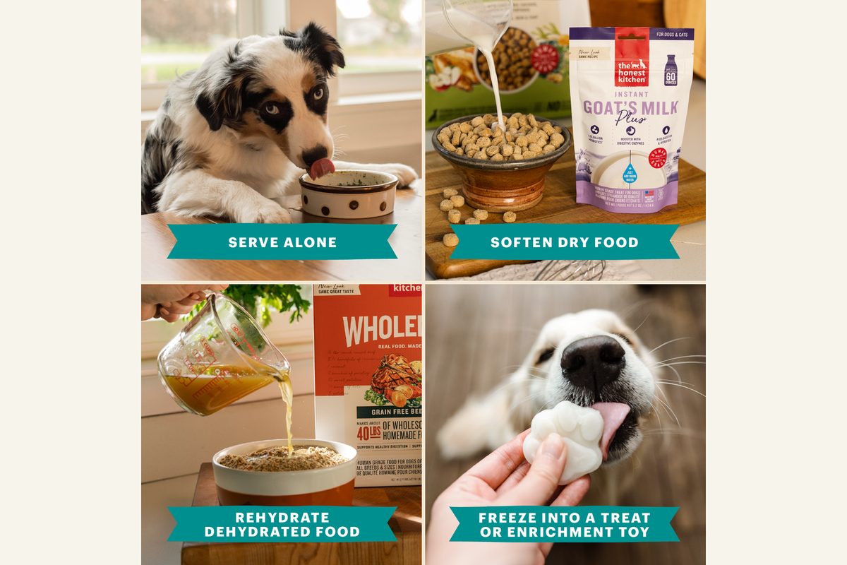 Ways to serve The Honest Kitchen goat's milk