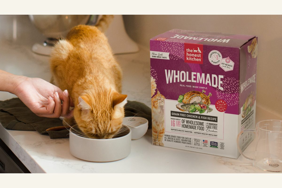 The Honest Kitchen Wholemade cat food package beside a cat eating
