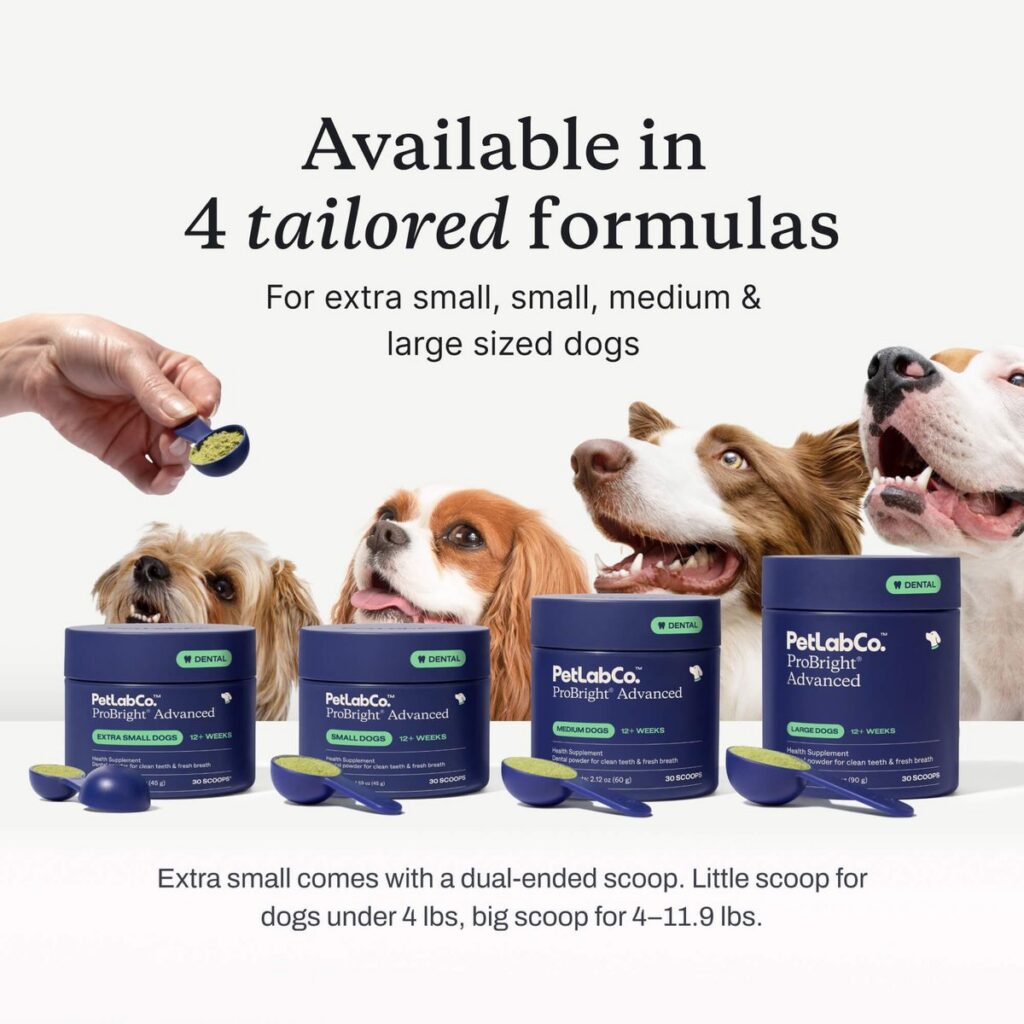 Four PetLabCo. ProBright Advanced tub sizes for extra small, small, medium, and large dogs