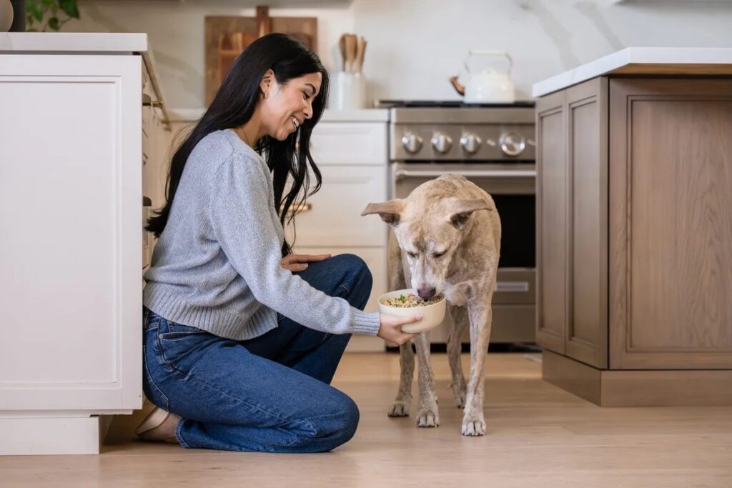Owner kneeling to feed a dog a bowl of fresh food in a kitchen