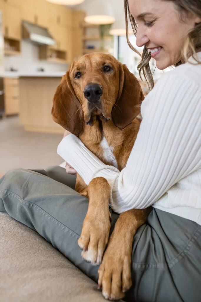 Owner sitting with a bloodhound on the couch