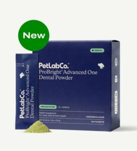 PetLabCo. ProBright Advanced One box of pre-measured daily dental powder packets