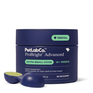 PetLabCo. ProBright Advanced dental powder tub with scoop