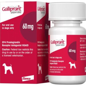 Galliprant (grapiprant) Tablets for Dogs, 60-mg, 60 tablets