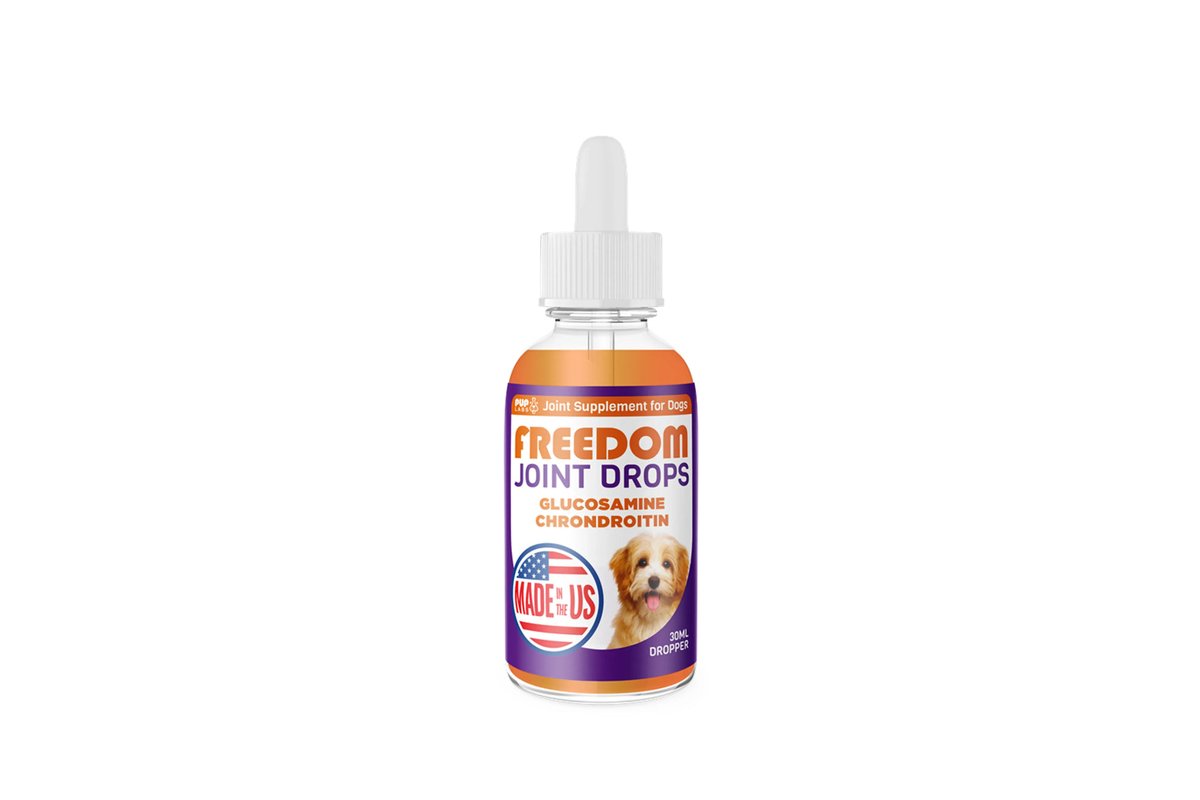 Liquid Joint Supplements for Dogs: How to Choose the Right Formula