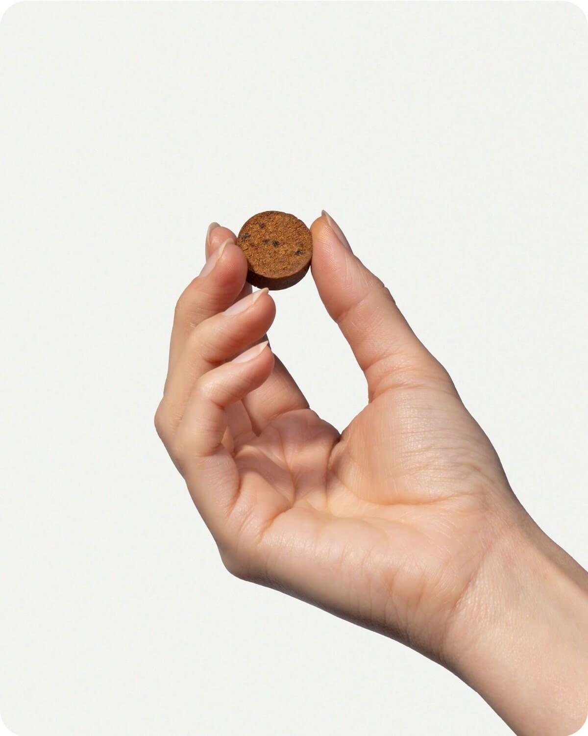 A hand holds a round brown probiotic soft chew against a pale background.